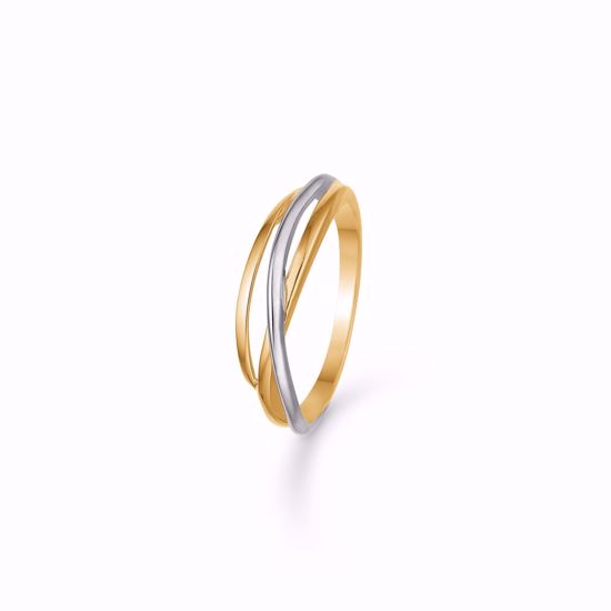 0002440_guld-ring-2-farvet-8kt-8344608_550