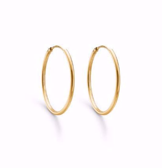 0003827_guld-creol-8kt-384215_550
