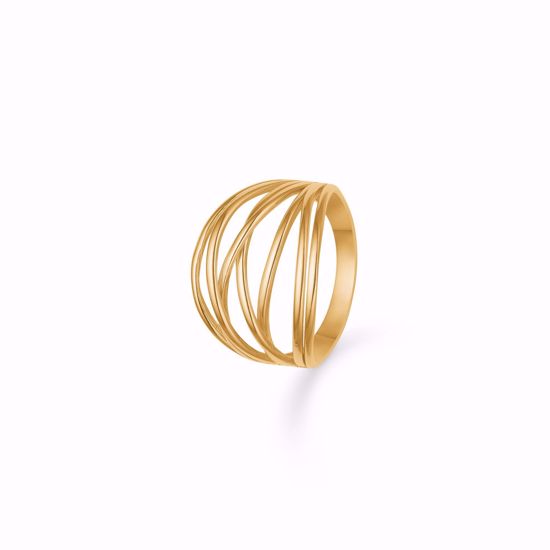 0005569_guld-ring-8kt-641008_550