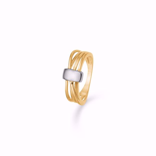 0005861_guld-ring-8kt-8392608_550