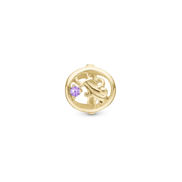 Christina berlock Vattumannen Zodiac Förgylld Silver, Med Lila Sten 6 mm