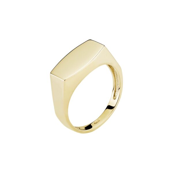 8 karats guldringplatta 14x8mm
