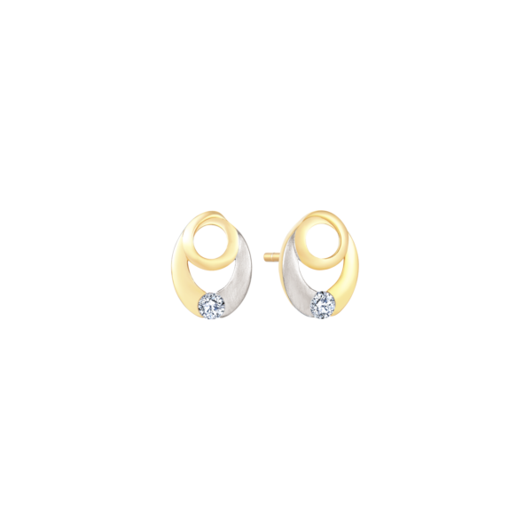 8 kt guld örhängen dubbel cirkel med zirconia 1/4 matt