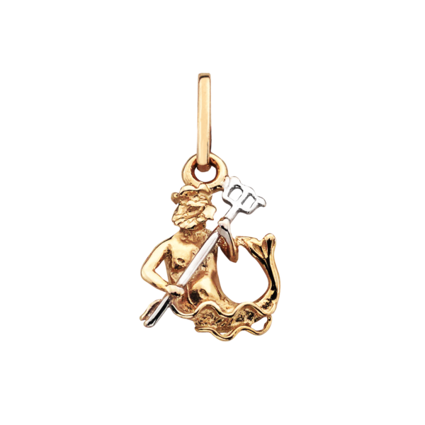 Zodiac Vattumannen 14 kt. guld med rhodiumhänge.
