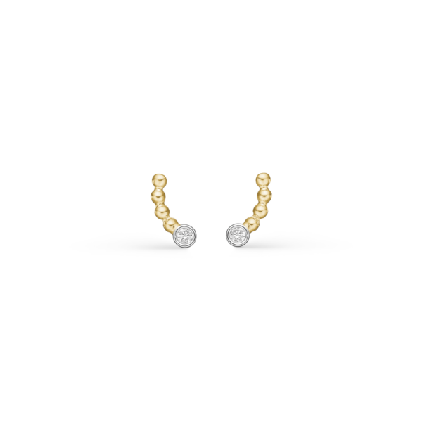 14 kt. guld öronproppar rosett med 1 med facetterad zirconia och 4 små kulor.