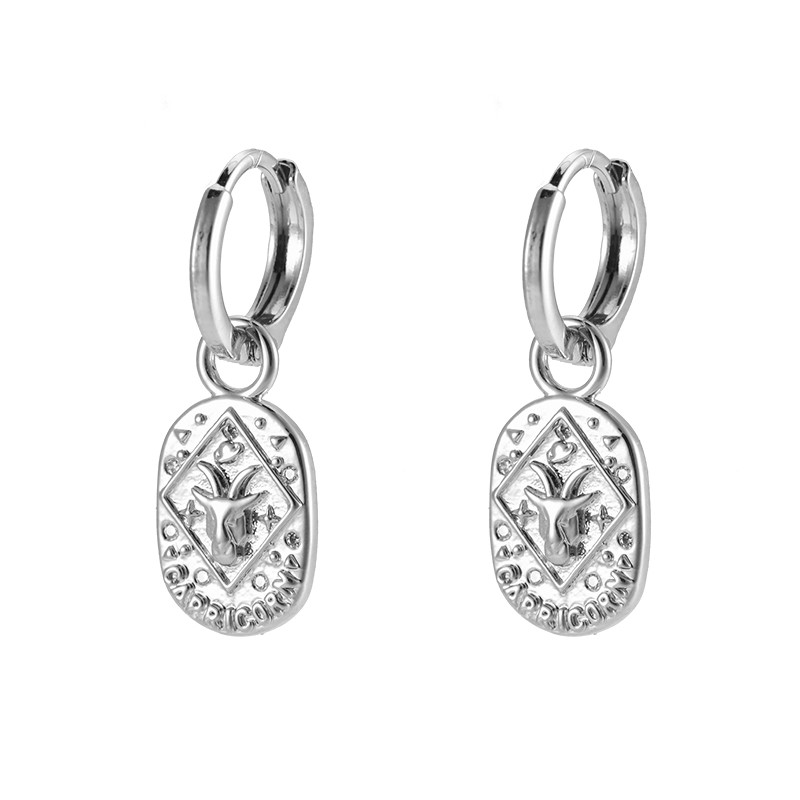 Stjernetegn hoops-øreringe Stenbukken Belagt med hvidguld med zirkonia sten 121816-15