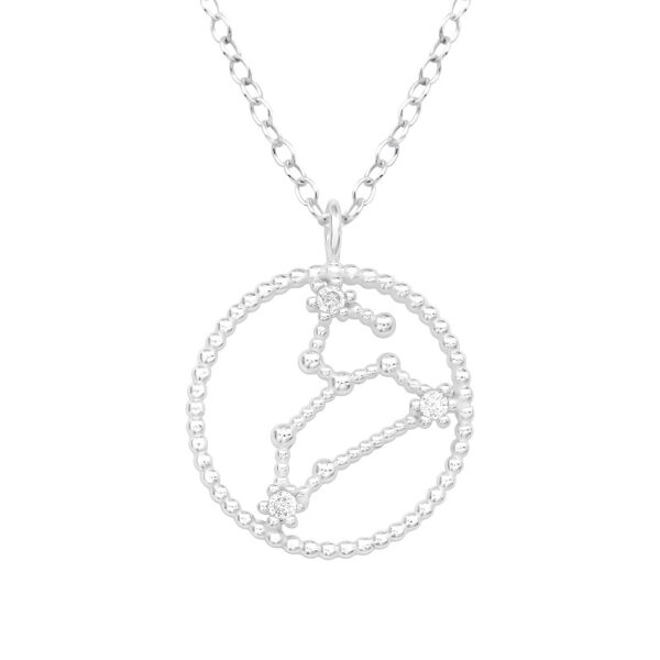 Silver zodiac halsband lejon - 45cm